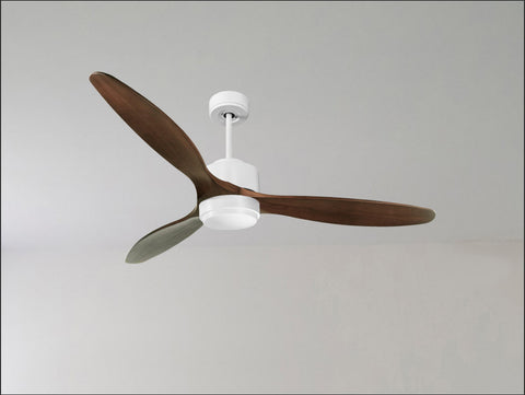 Ventilador de techo