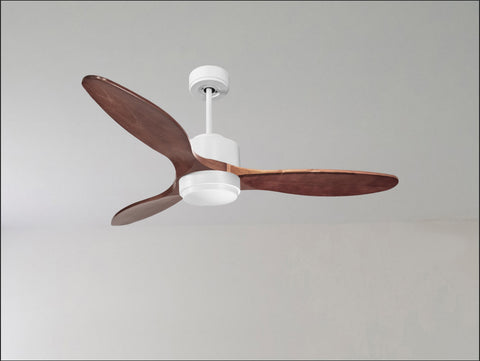 Ventilador de techo