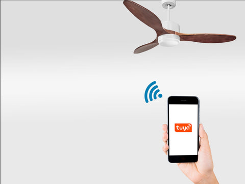 Ventilador de techo