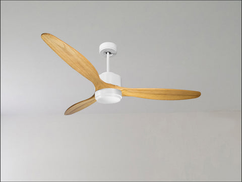 Ventilador de techo
