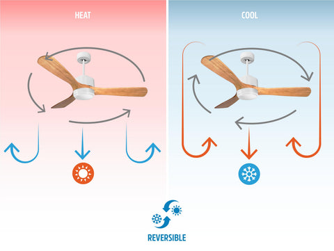 Ventilador de techo