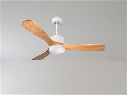 Ventilador de techo