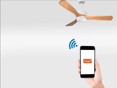 Ventilador de techo