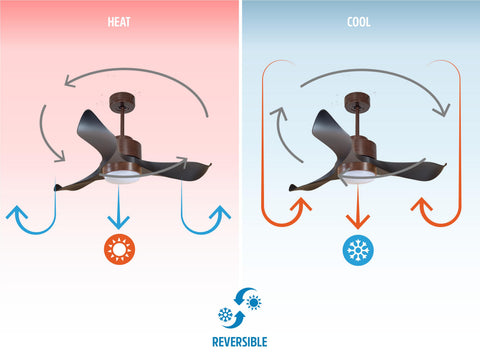 Ventilador de techo