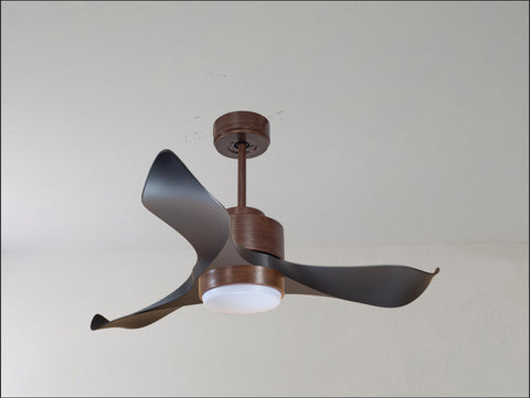 Ventilador de techo