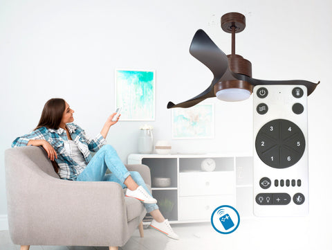Ventilador de techo