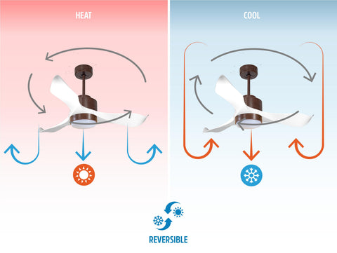 Ventilador de techo
