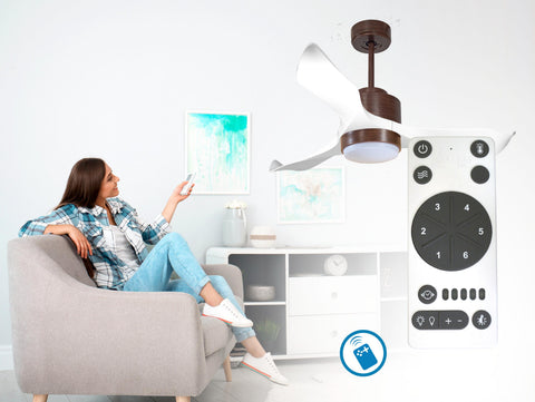Ventilador de techo