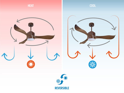 Ventilador de techo