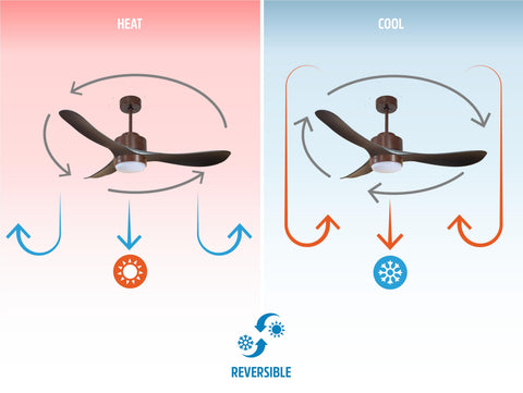 Ventilador de techo
