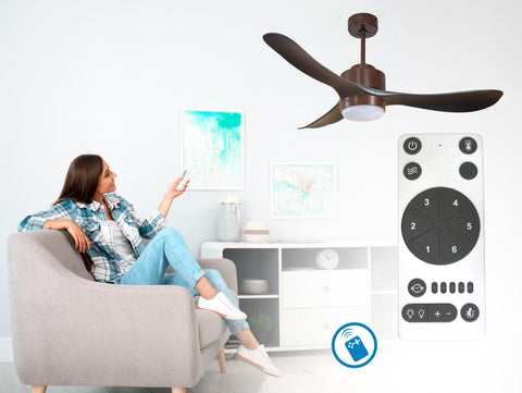 Ventilador de techo