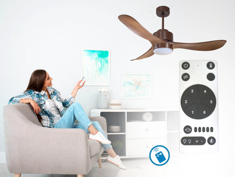 Ventilador de techo