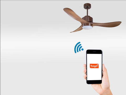 Ventilador de techo