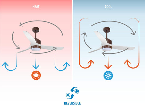 Ventilador de techo