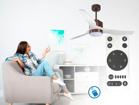 Ventilador de techo