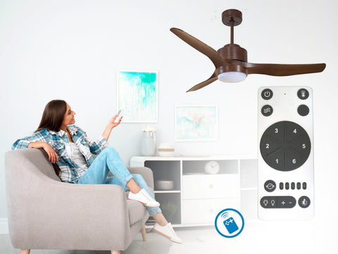 Ventilador de techo