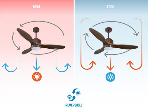 Ventilador de techo