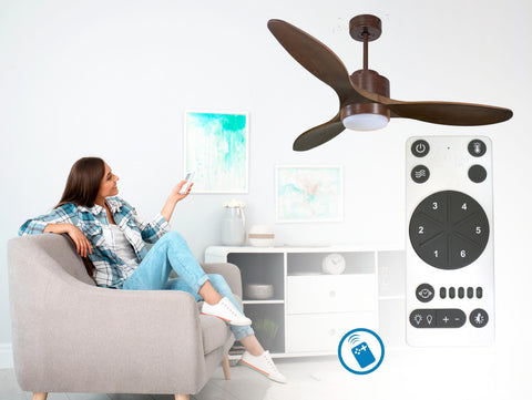 Ventilador de techo