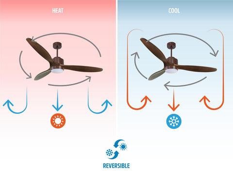 Ventilador de techo