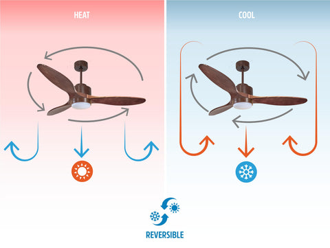 Ventilador de techo
