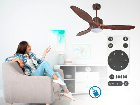 Ventilador de techo