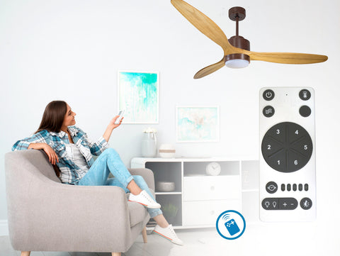 Ventilador de techo