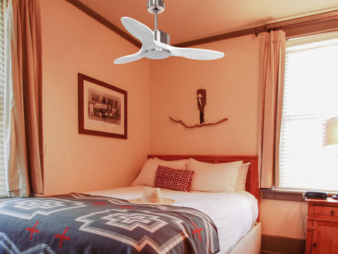 Ventilador de techo Modo Invierno/Verano Termostato Wifi Motor DC Techos Inclinados Mando a Distancia Hypersilence Memoria