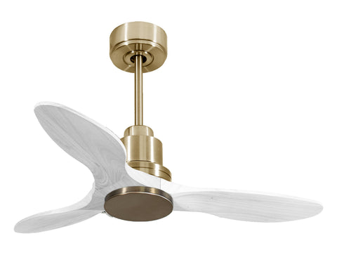 Ventilador de techo Wifi Motor DC Mando a Distancia Hypersilence Memoria