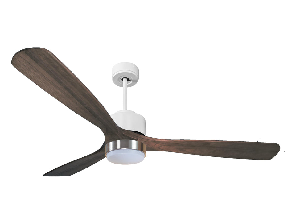 Ventilador de techo