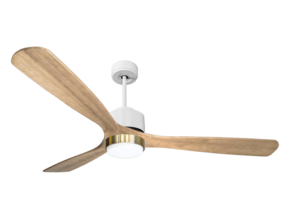 Ventilador de techo