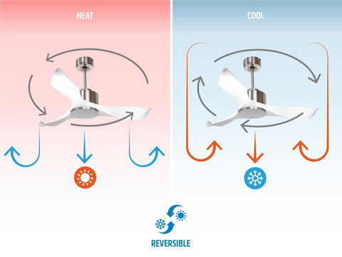 Ventilador de techo