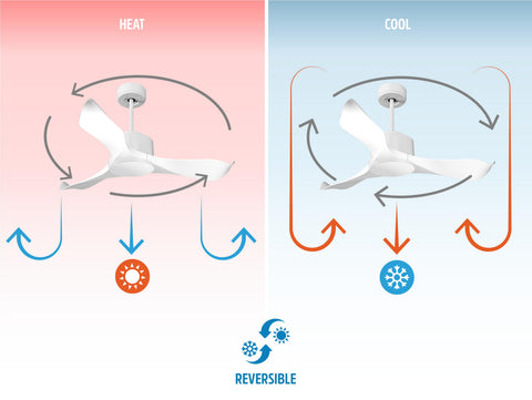 Ventilador de techo
