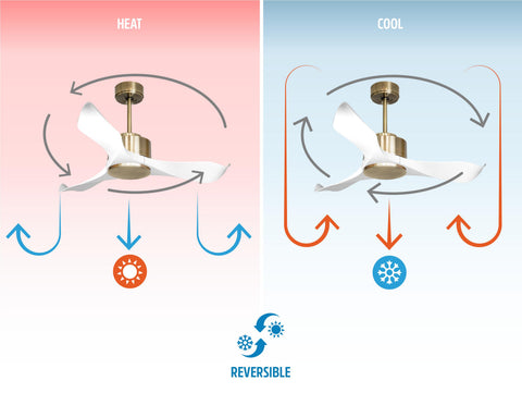 Ventilador de techo