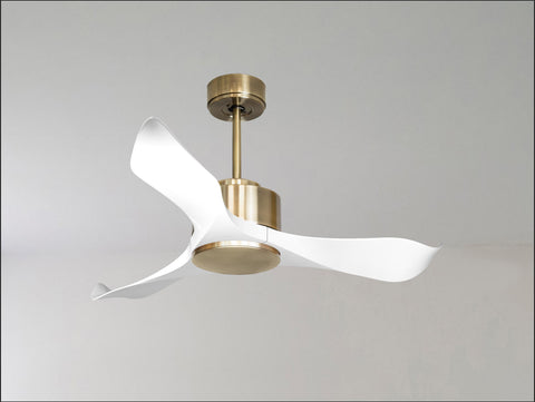 Ventilador de techo