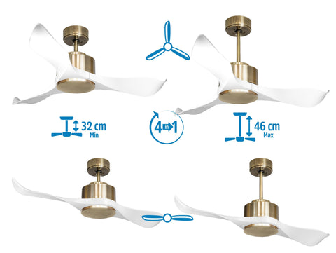Ventilador de techo