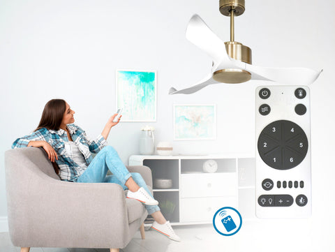 Ventilador de techo