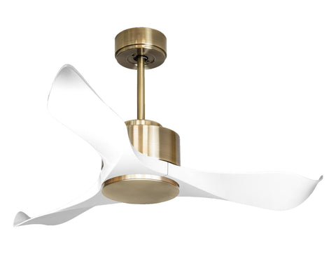 Ventilador de techo