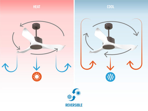 Ventilador de techo