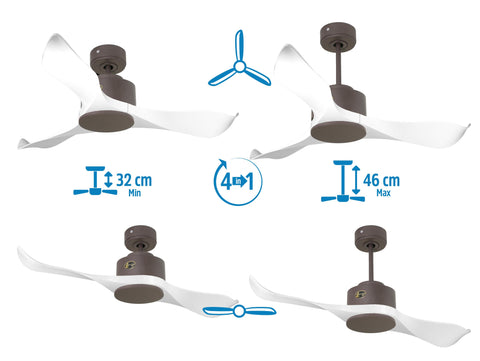 Ventilador de techo