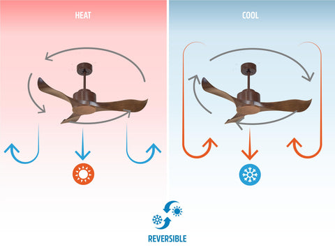 Ventilador de techo