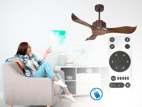Ventilador de techo