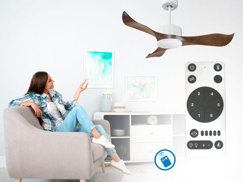 Ventilador de techo