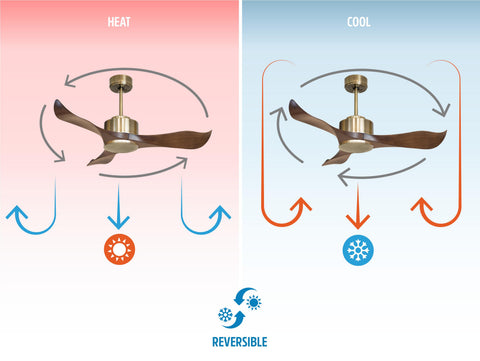 Ventilador de techo