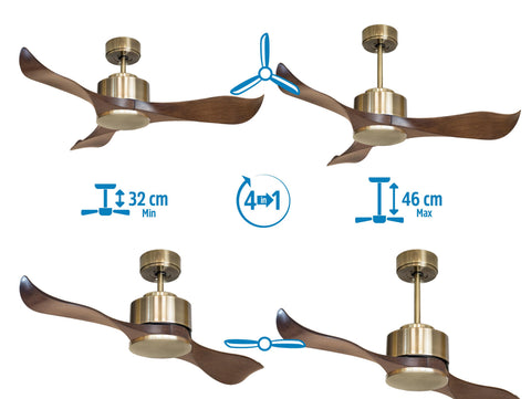 Ventilador de techo
