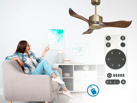 Ventilador de techo