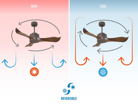 Ventilador de techo