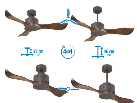 Ventilador de techo