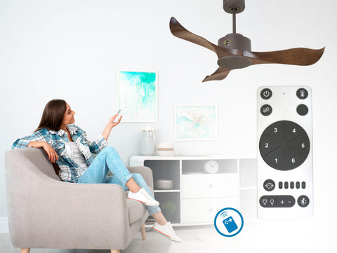 Ventilador de techo