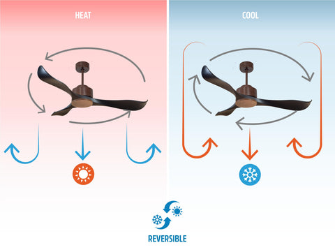 Ventilador de techo