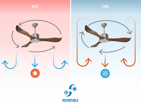 Ventilador de techo